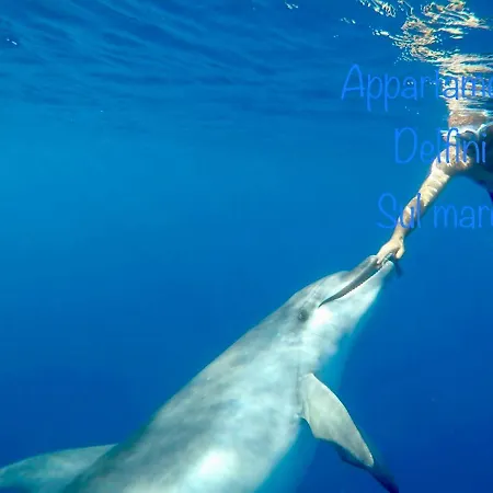 Appartamento Delfini Sul Mare Golfo Aranci Exterior photo