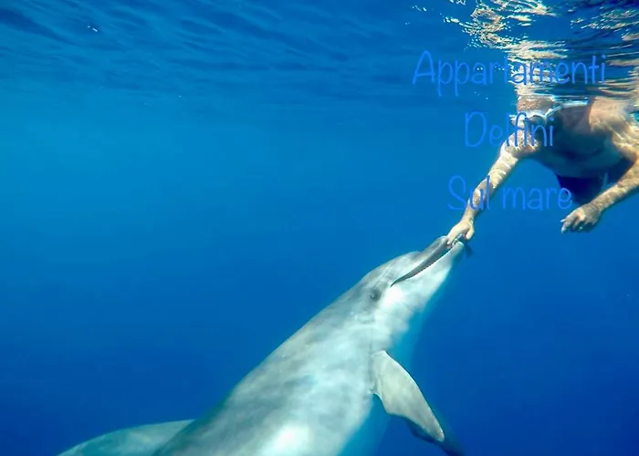 Appartamento Delfini Sul Mare