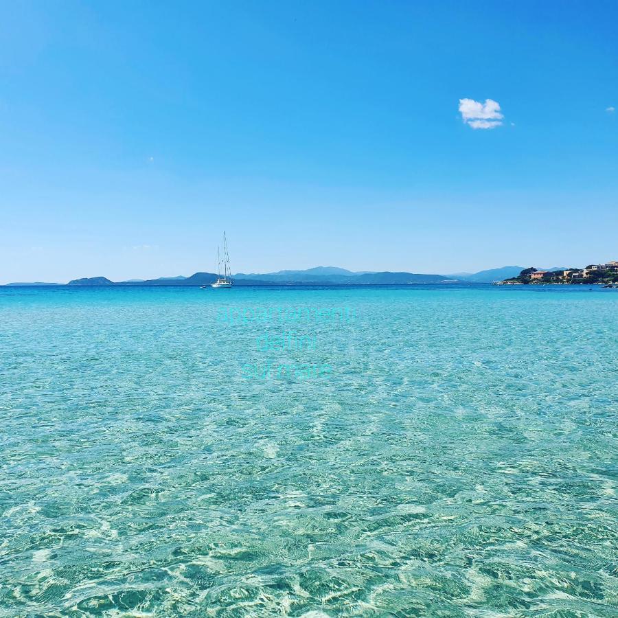 Delfini Sul Mare Apartment Golfo Aranci