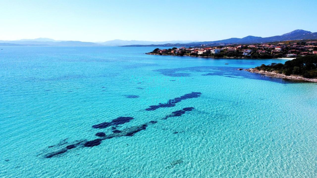 Delfini Sul Mare * Golfo Aranci