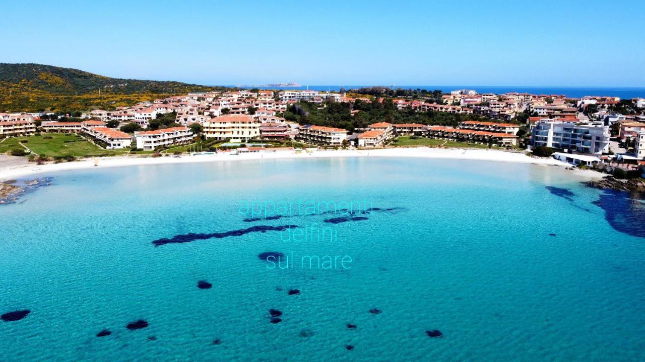 Apartment Delfini Sul Mare