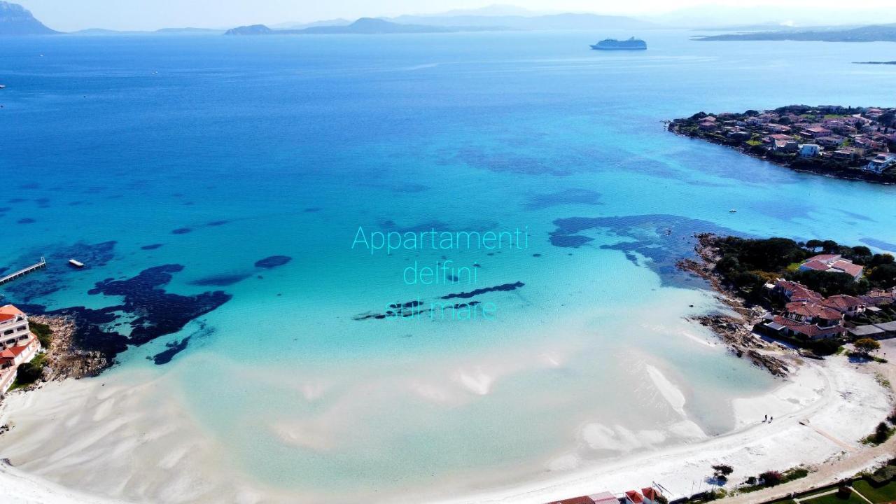 Apartment Delfini Sul Mare