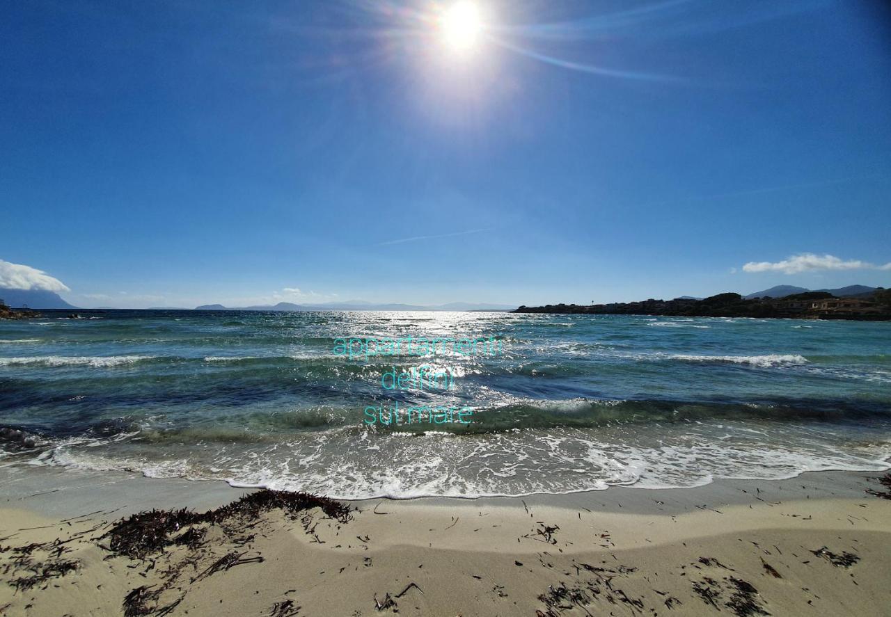 Delfini Sul Mare * Golfo Aranci