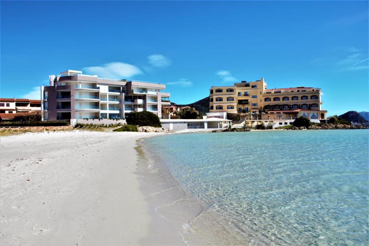Delfini Sul Mare Golfo Aranci